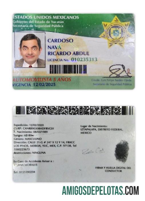 Carteira de motorista do estado de Yucatán no México baixar para verificação